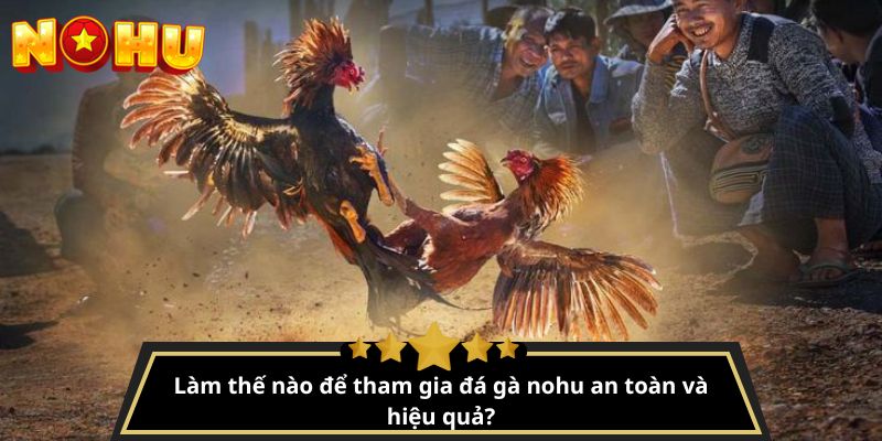 đá gà nohu